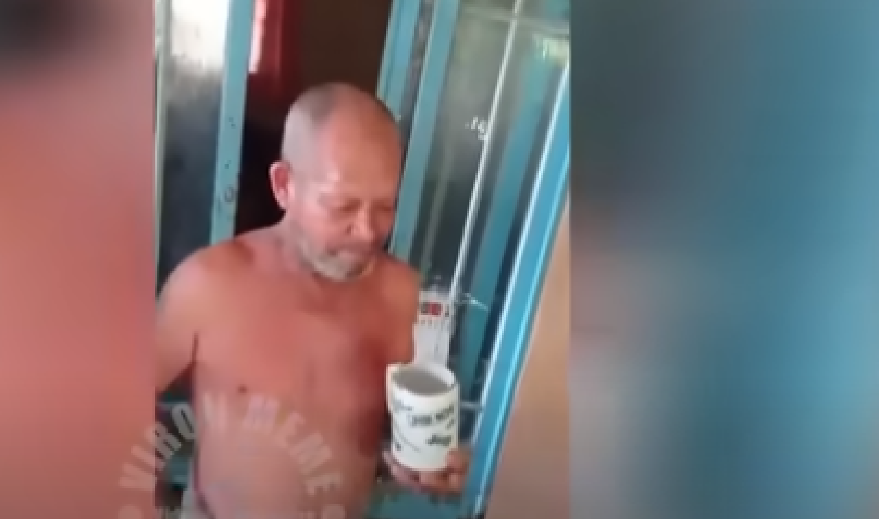 Vídeos engraçados do whats 2024