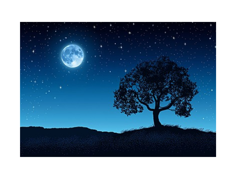 Sobre o vazio que acompanha a existência humana